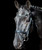 Schockemohle Rome Select Bridle, Black.